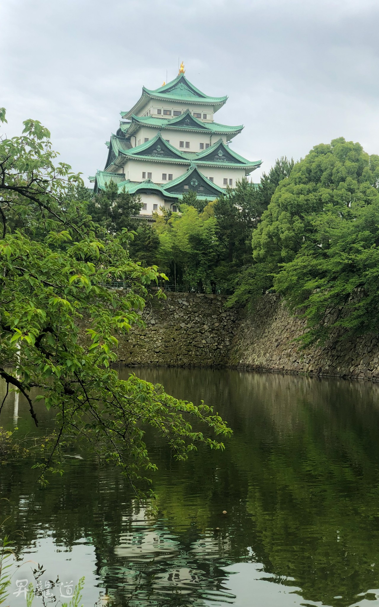 名古屋自助遊攻略