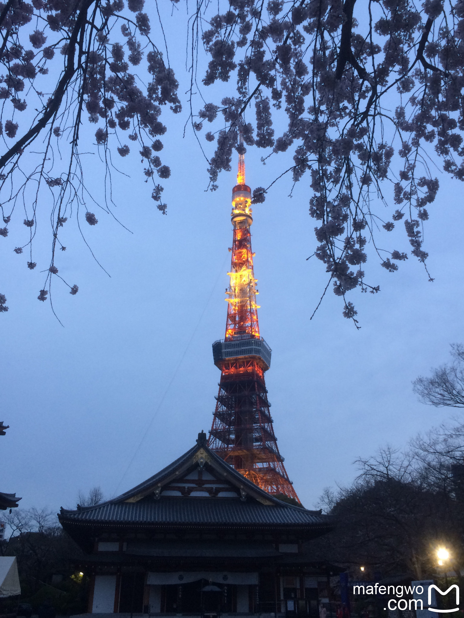 東京自助遊攻略