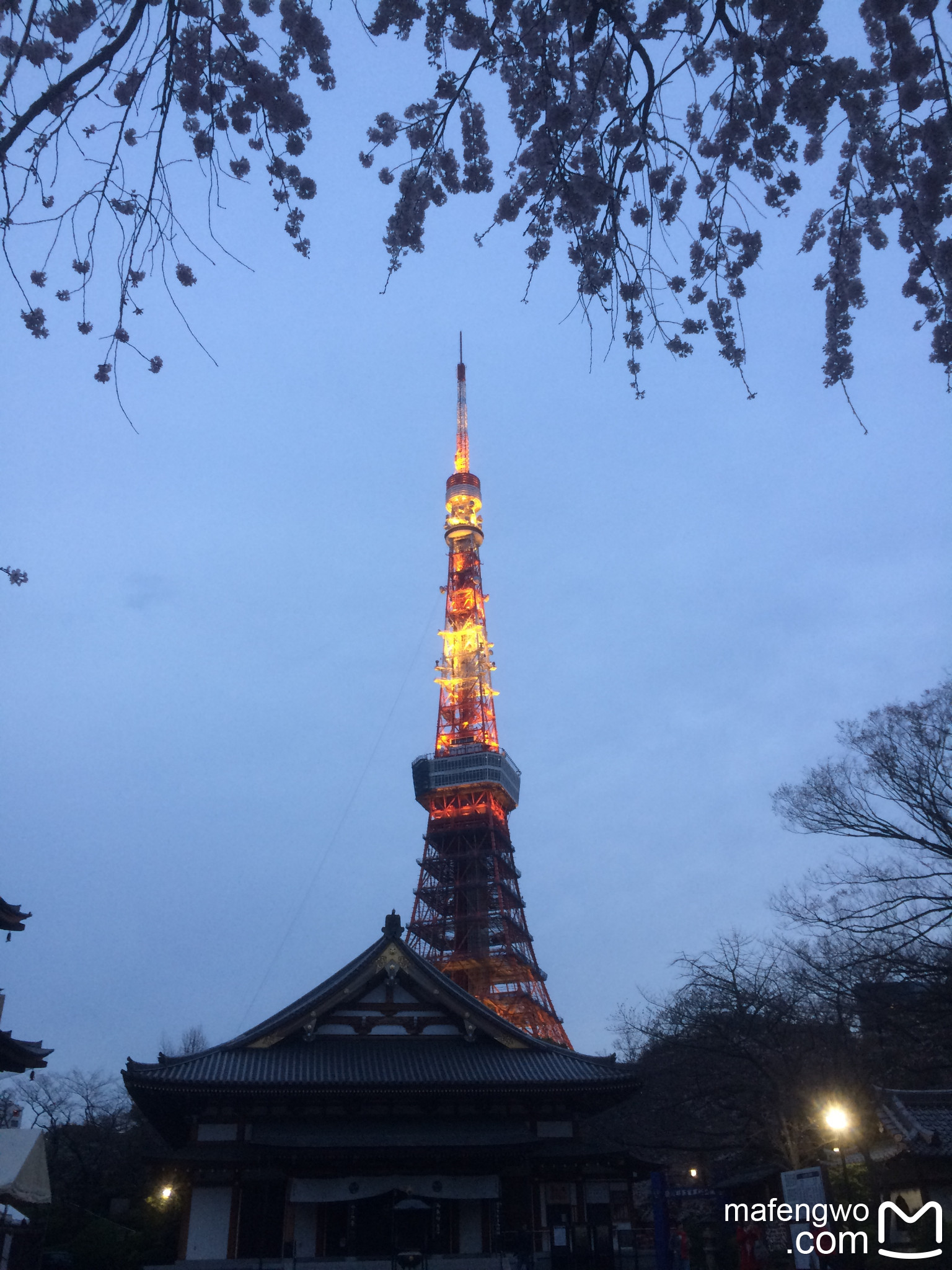 東京自助遊攻略