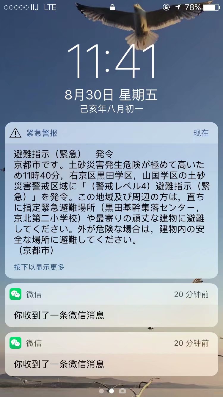 京都自助遊攻略