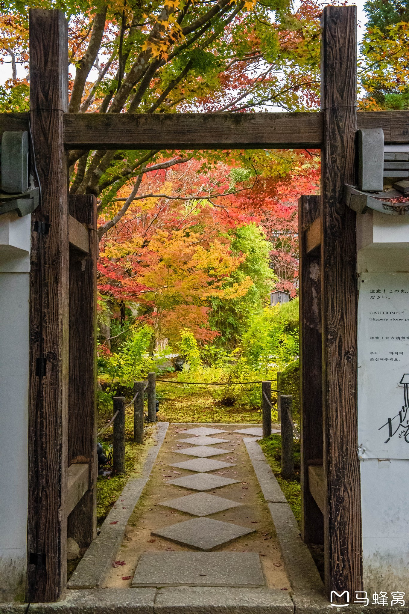 京都自助遊攻略