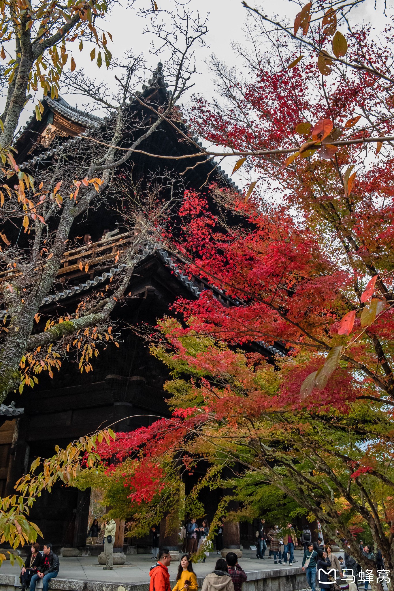 京都自助遊攻略