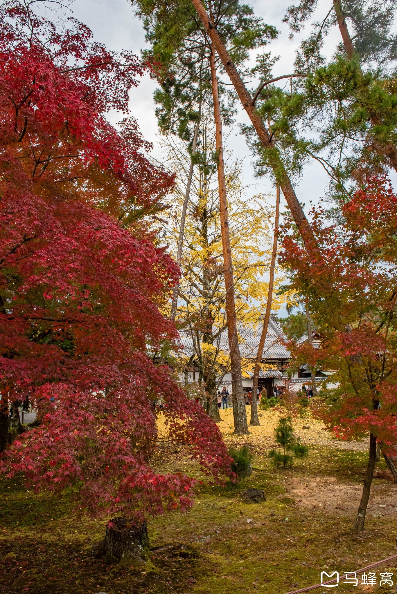 京都自助遊攻略