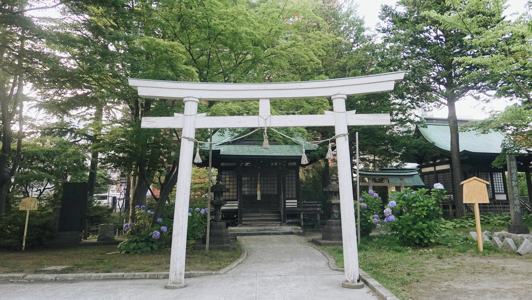 10.静谧的善知鸟神社藏于喧闹的青森市中心.