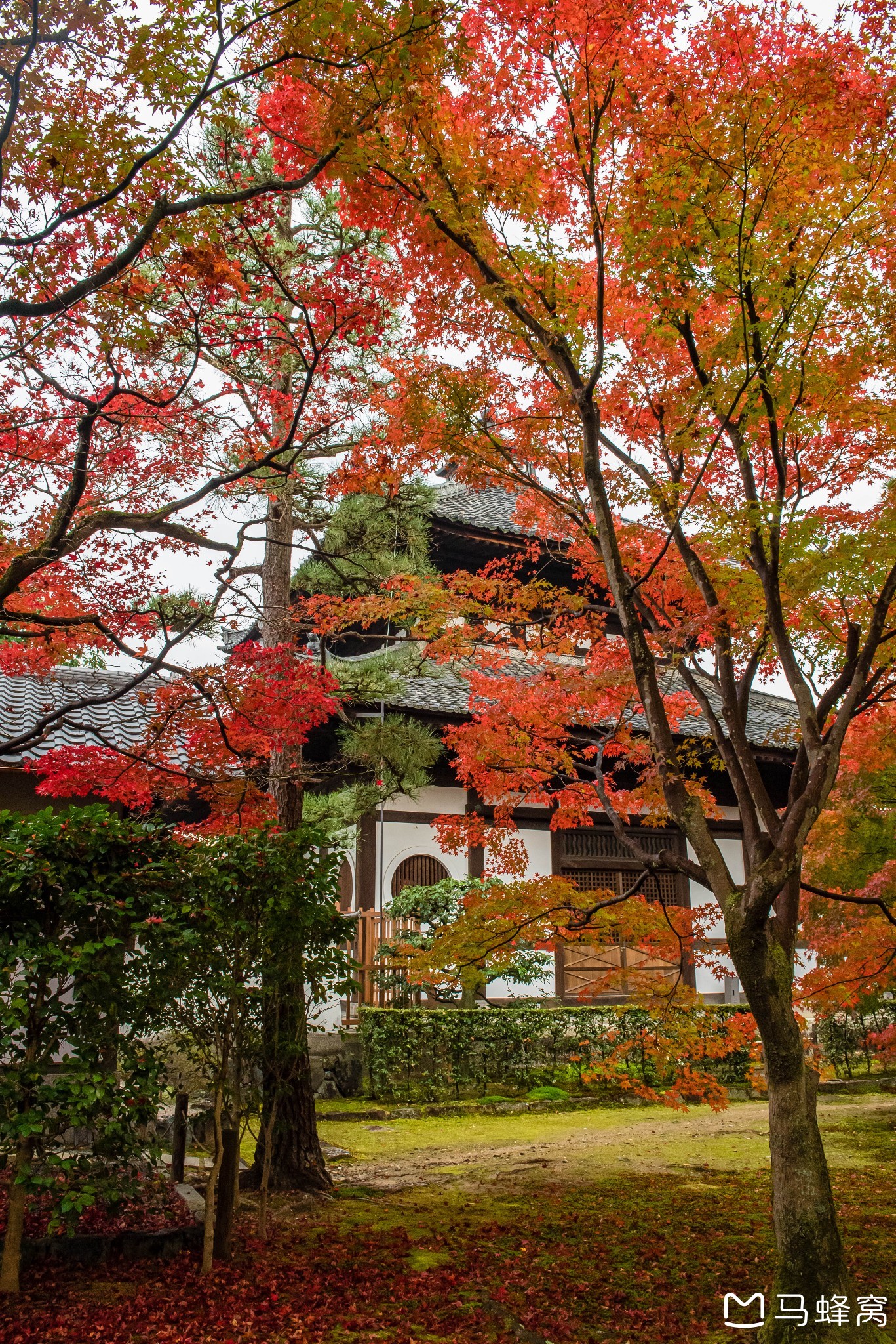 京都自助遊攻略