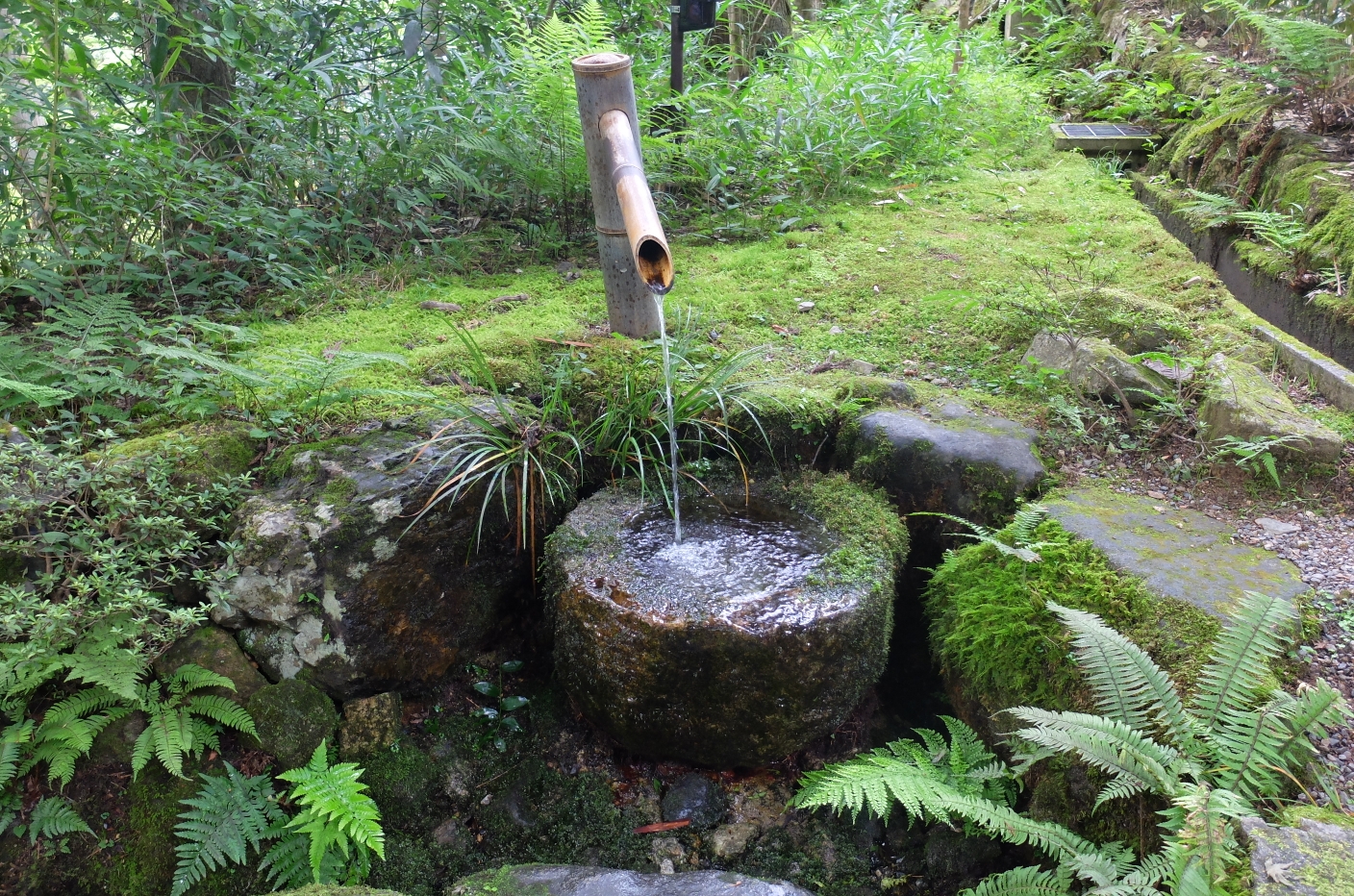 京都自助遊攻略