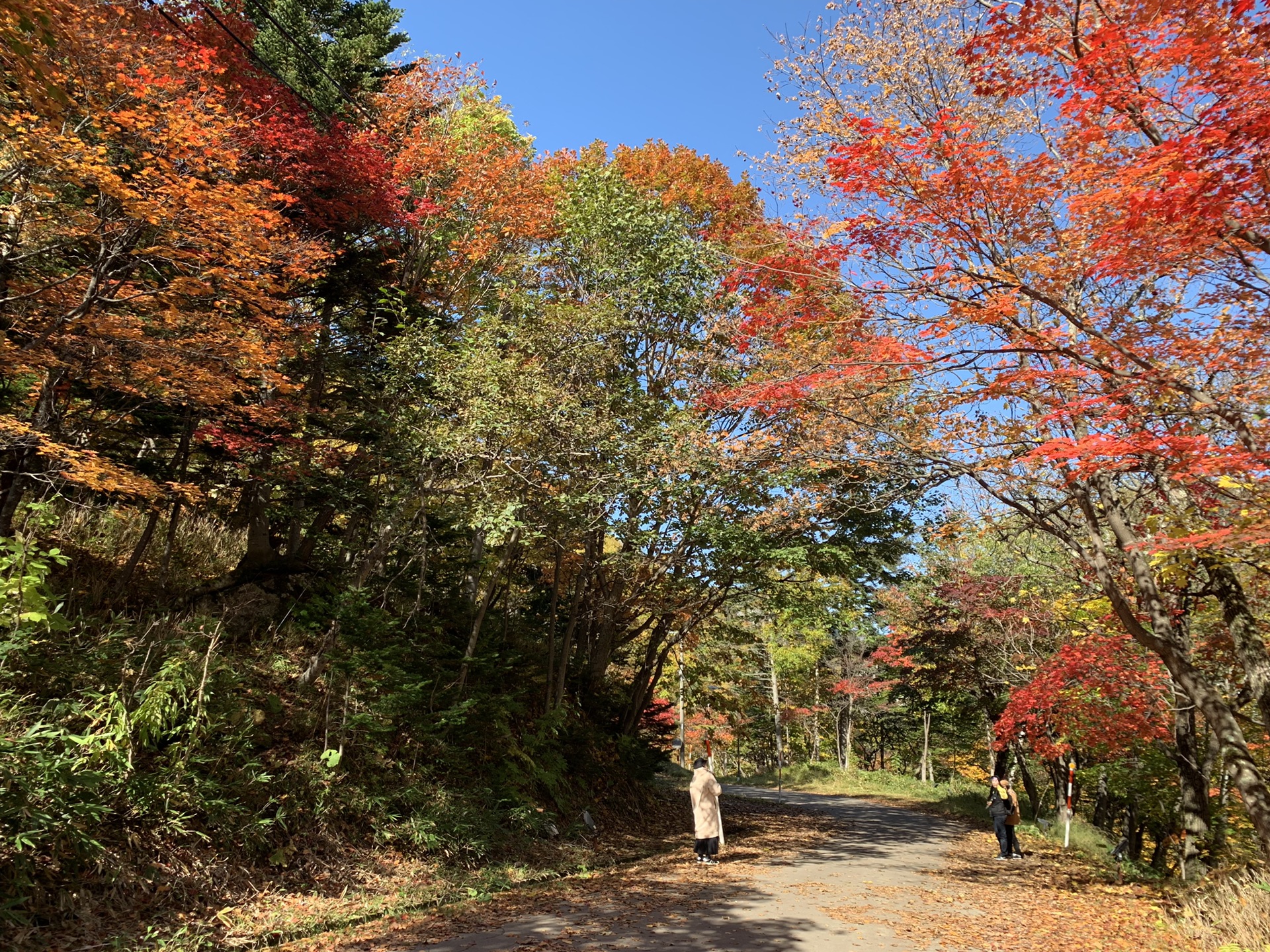 北海道自助遊攻略