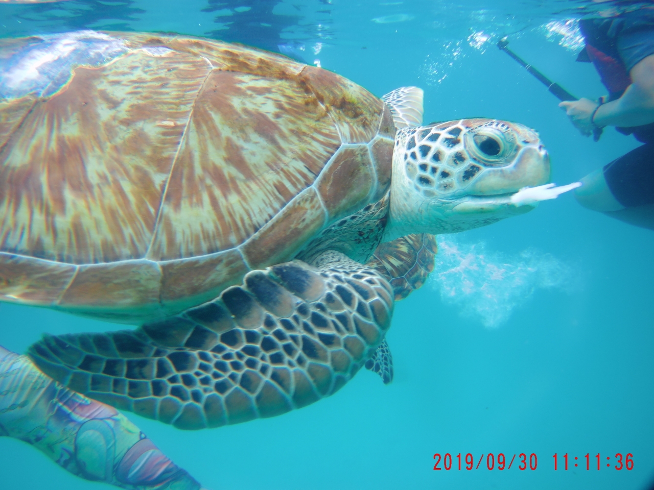 熱浪島自助遊攻略