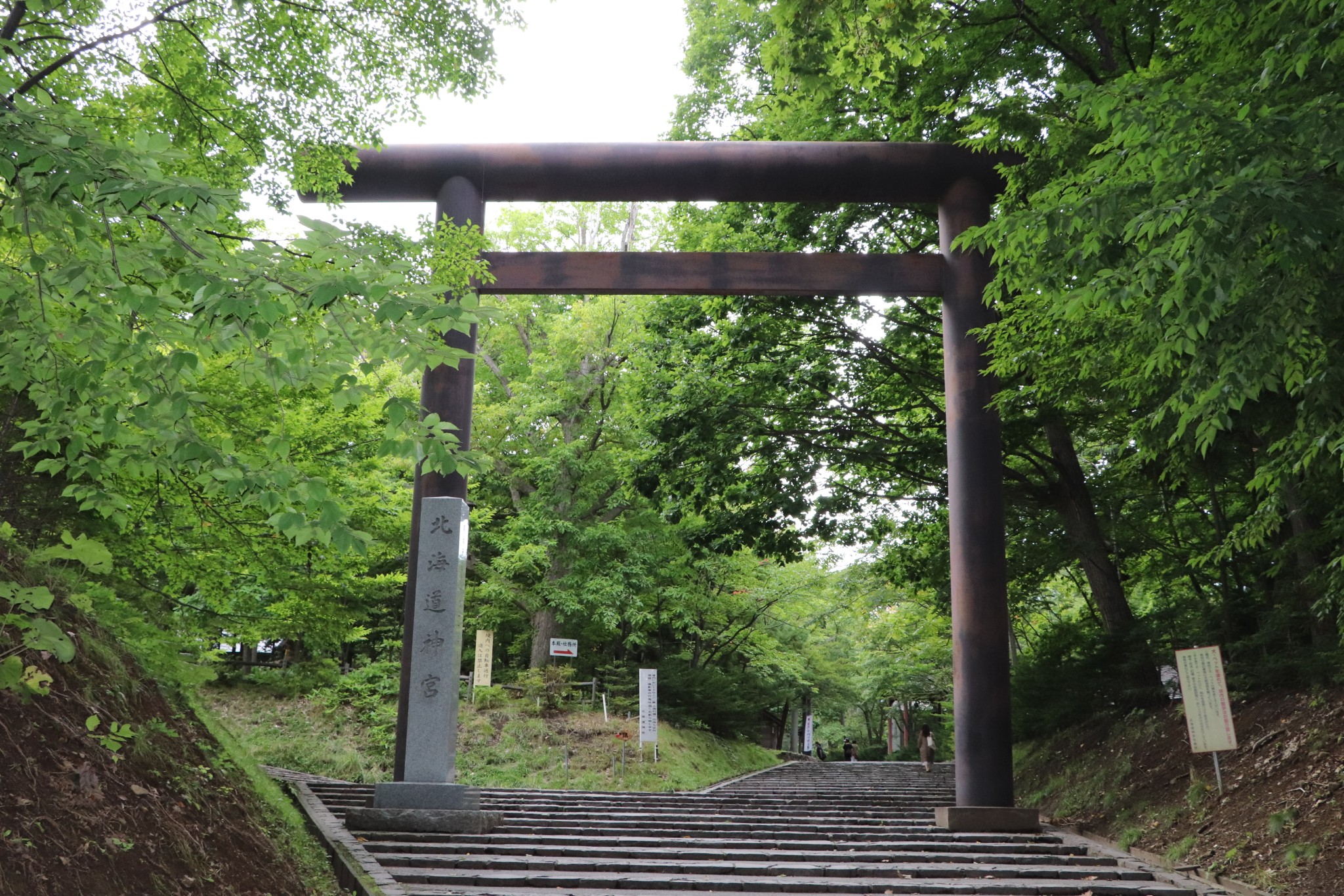 北海道自助遊攻略