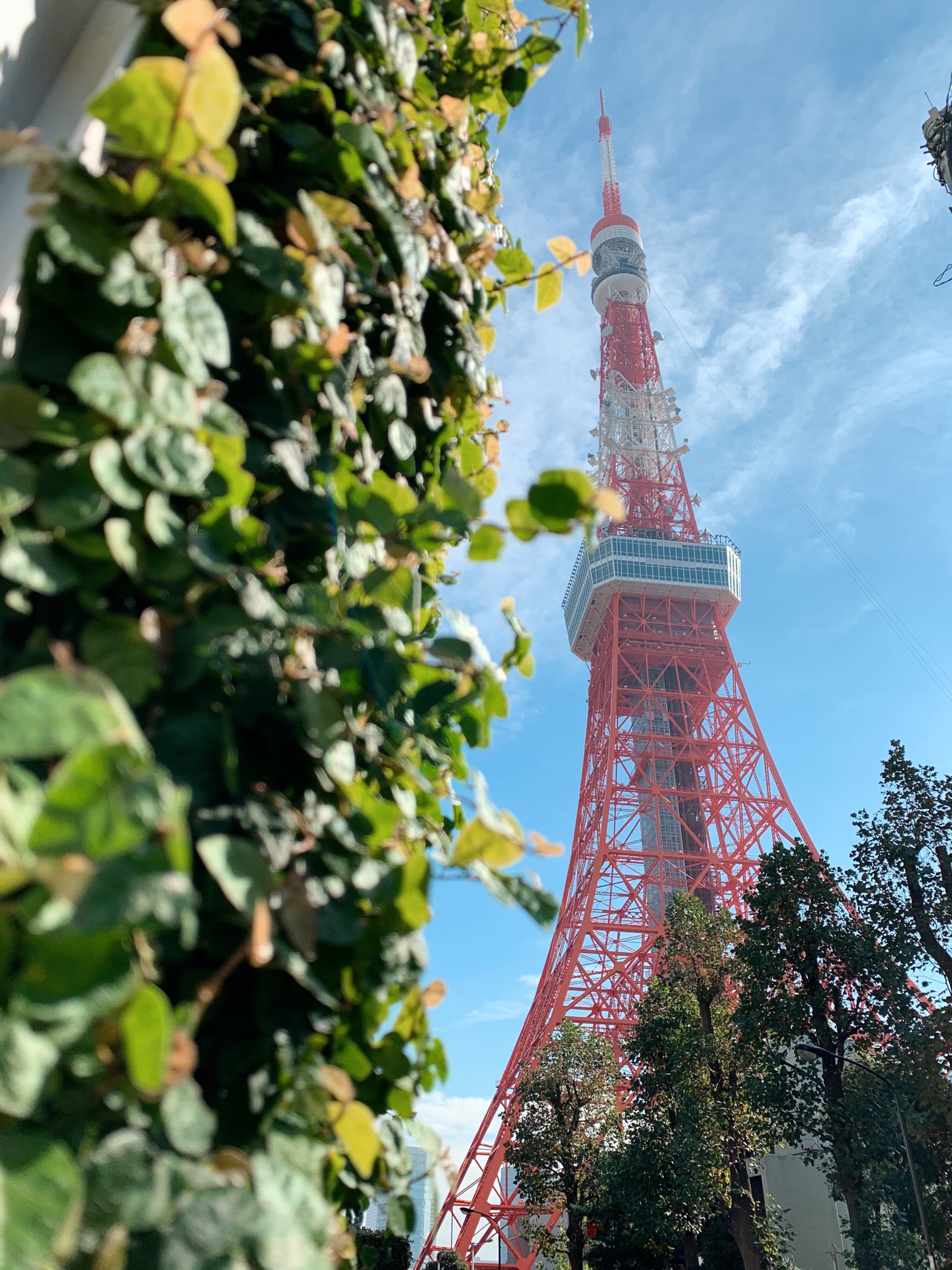 東京自助遊攻略