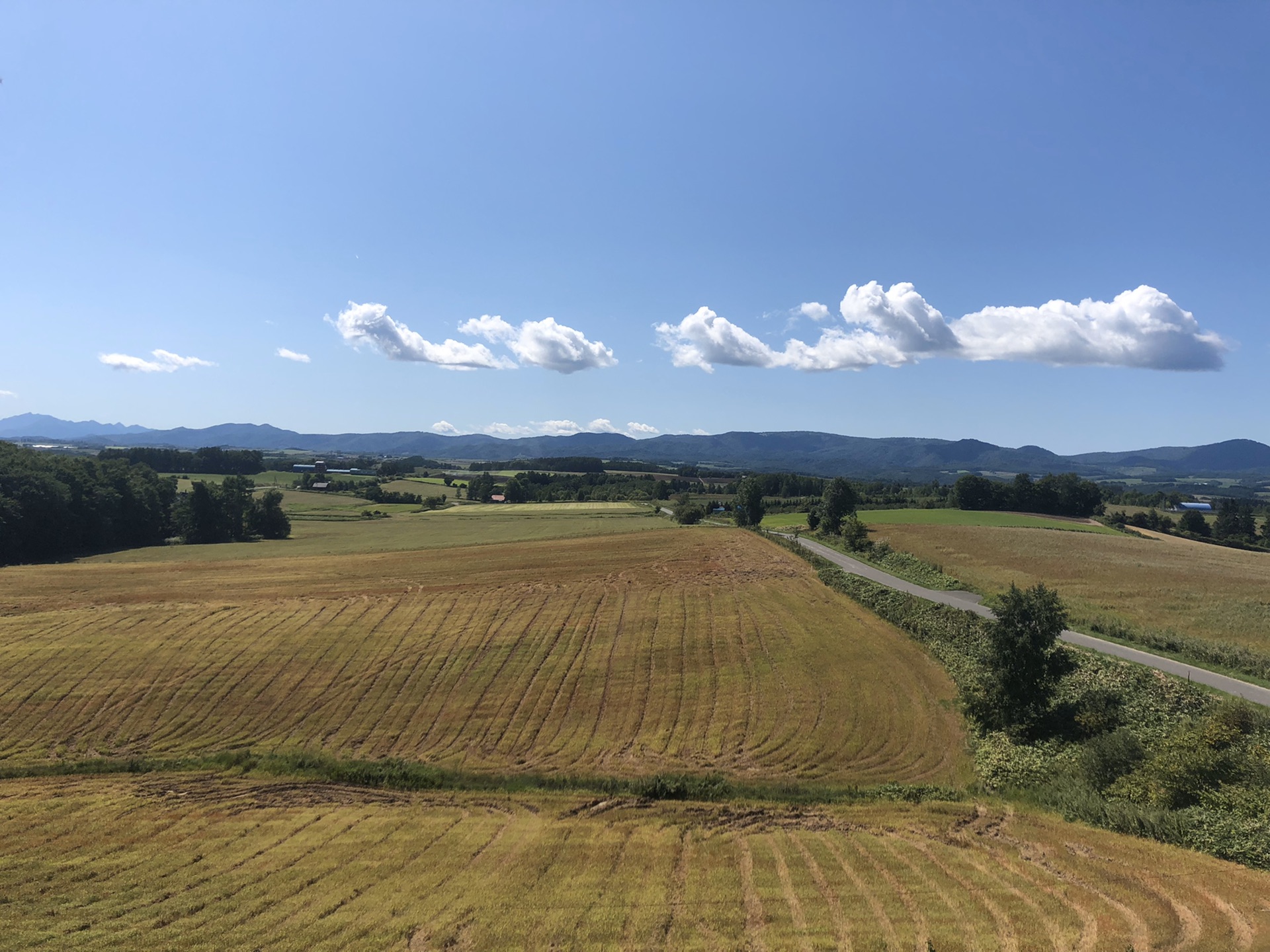 北海道自助遊攻略