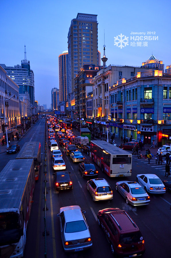 哈尔滨市有多少人口_城市夜晚外景贴图(3)