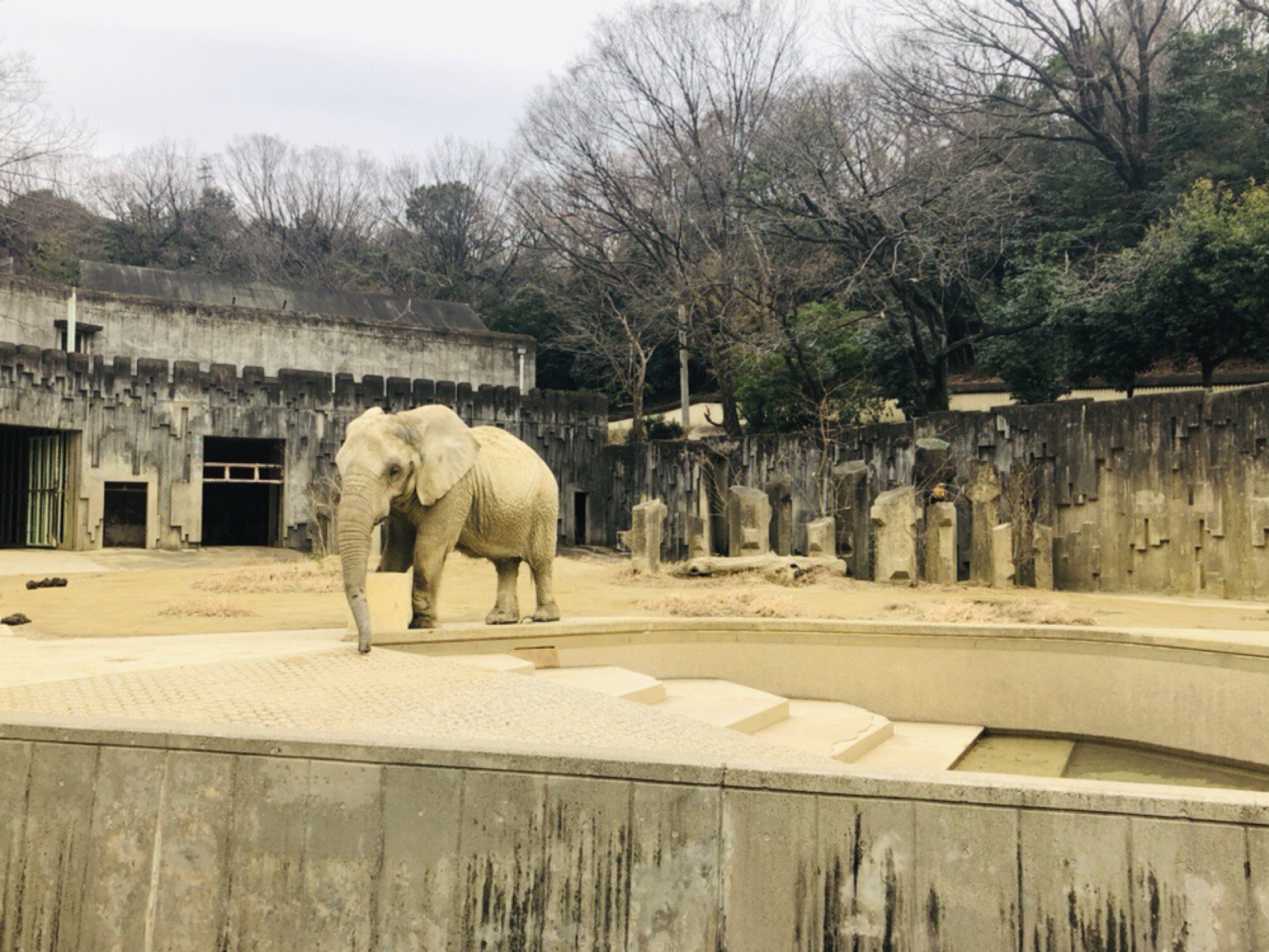 名古屋自助遊攻略