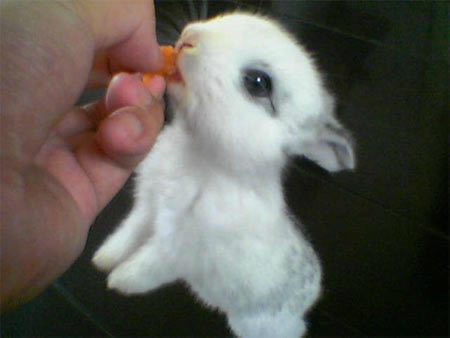 wKgByU_i-PrrN30fAAEaEpyPtVo77.jpeg?imageView2%2F2%2Fw%2F680%2Fq%2F90