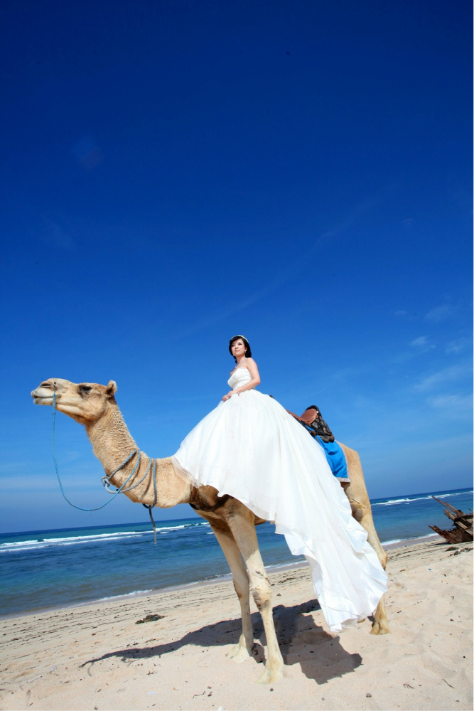 巴厘岛婚纱照片_巴厘岛