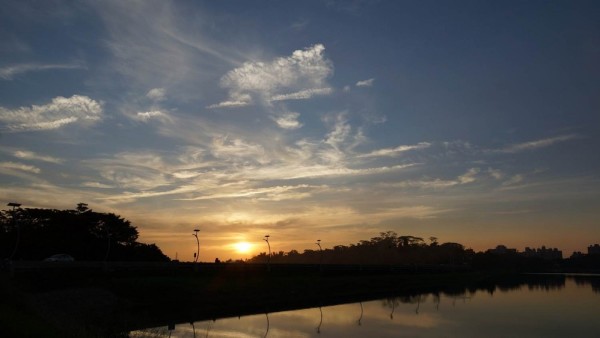 缘分五月简谱_缘分五月简谱歌谱