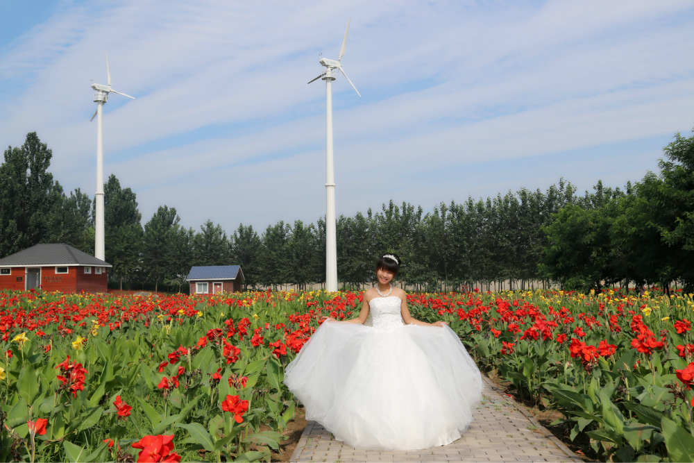 花海婚纱照图片_林心如婚纱照花海(2)