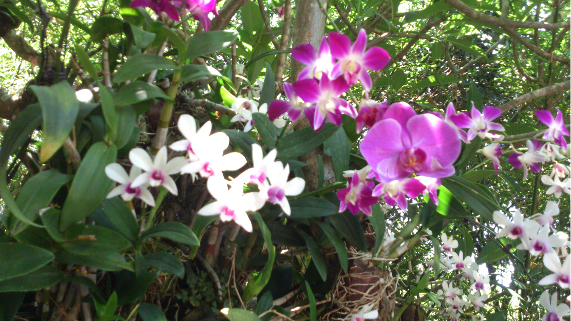 wKgB3FGWUCCAWOxZABL1QdwUzL809.jpeg?imageView2%2F2%2Fw%2F600%2Fh%2F600%2Fq%2F90