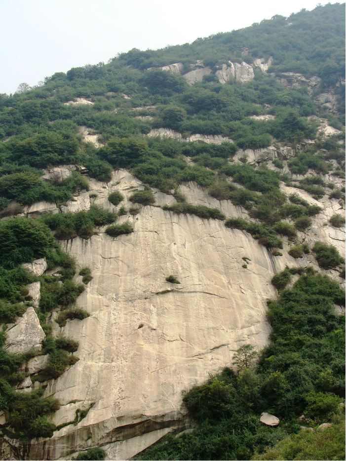 青田县有多少人口_浙江青田宝石产地遭滥挖乱采 大山被掏空