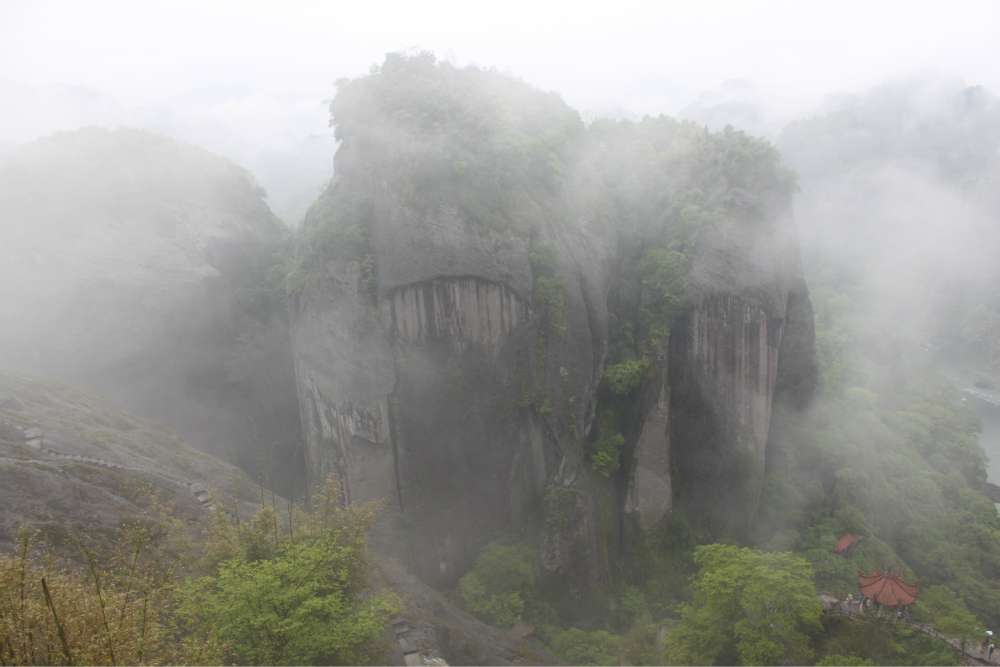 武夷山城区人口_武夷山大红袍母树