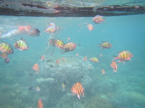 wKgB3FHQLGeAR0WWAACm9oPhj0847.jpeg?imageView2%2F2%2Fw%2F600%2Fh%2F600%2Fq%2F90
