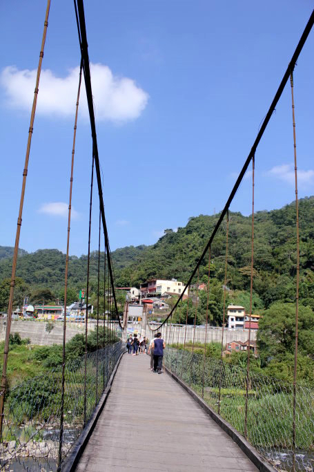油竹人口数_人口普查(3)