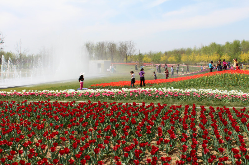 北京国际鲜花港 马蜂窝