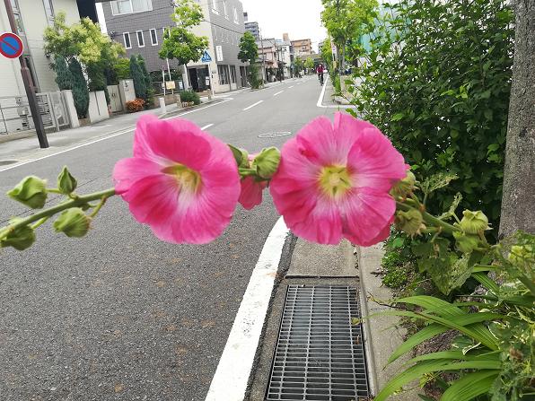 名古屋自助遊攻略