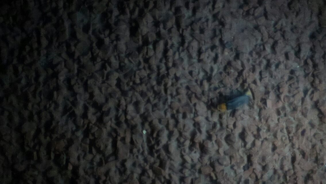 wKgB4lKPljGAVTieAAI4kQ1iuqU02.jpeg?imageView2%2F2%2Fw%2F460%2Fq%2F90