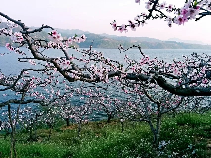 wKgB4lNdu0uAOmxwAAMa0E2ecHw33.jpeg?imageView2%2F2%2Fw%2F680%2Fq%2F90