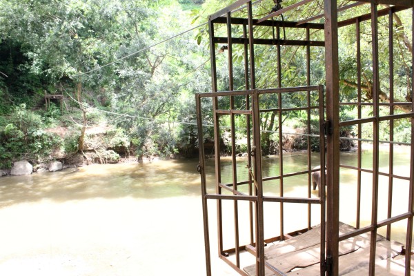 大象过河猜成语_大象小象过河图片(3)