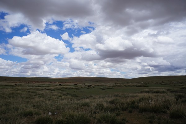 云岗石窟景区详细介绍 wKgB4lOqMZiAb7kmAAeI1dgWpVU10.jpeg?imageView2%2F2%2Fw%2F600%2Fh%2F600%2Fq%2F90