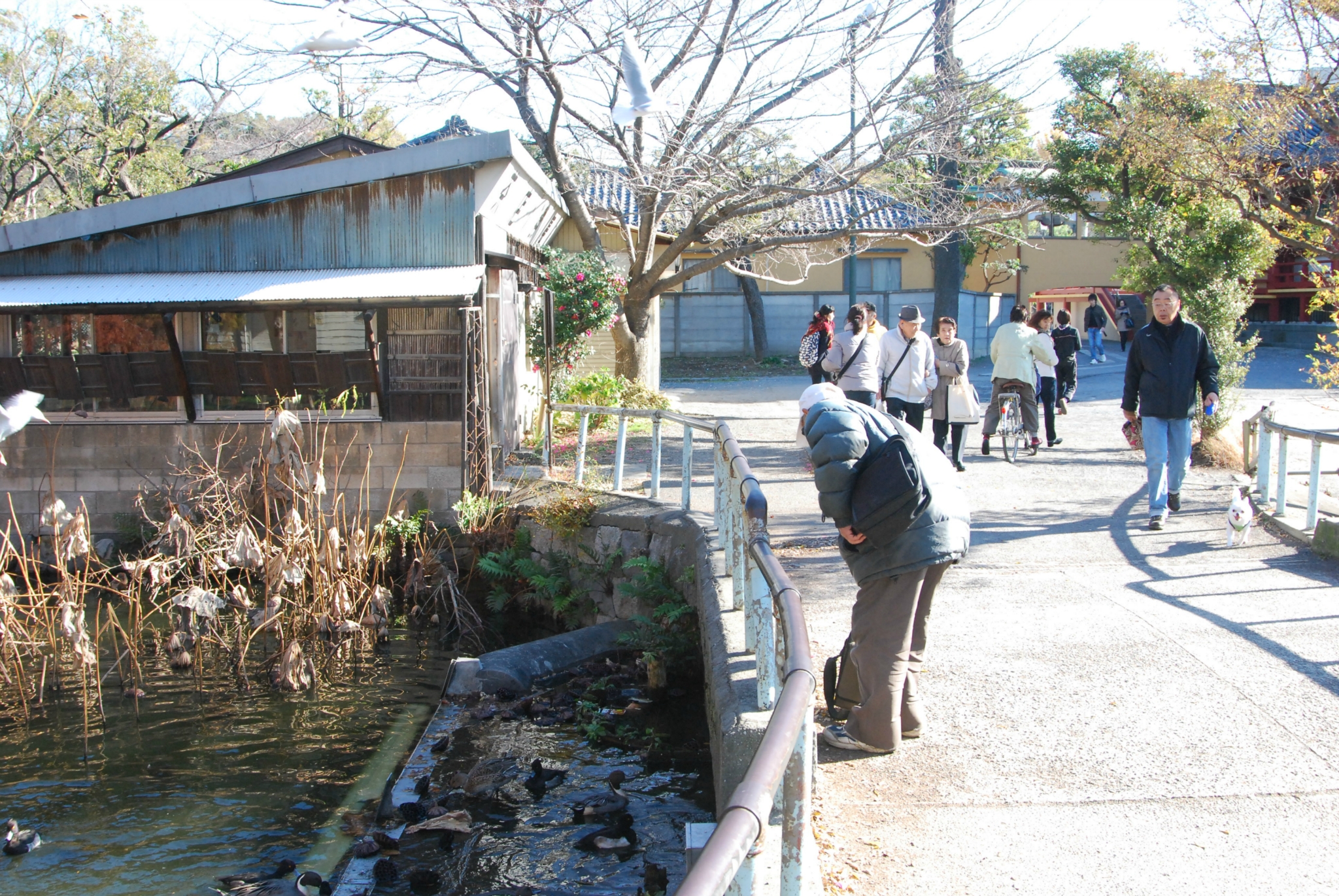 東京自助遊攻略