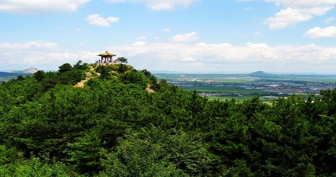 2018龙井旅游攻略,龙井自由行攻略,马蜂窝龙井出游攻略游记 - 马蜂窝