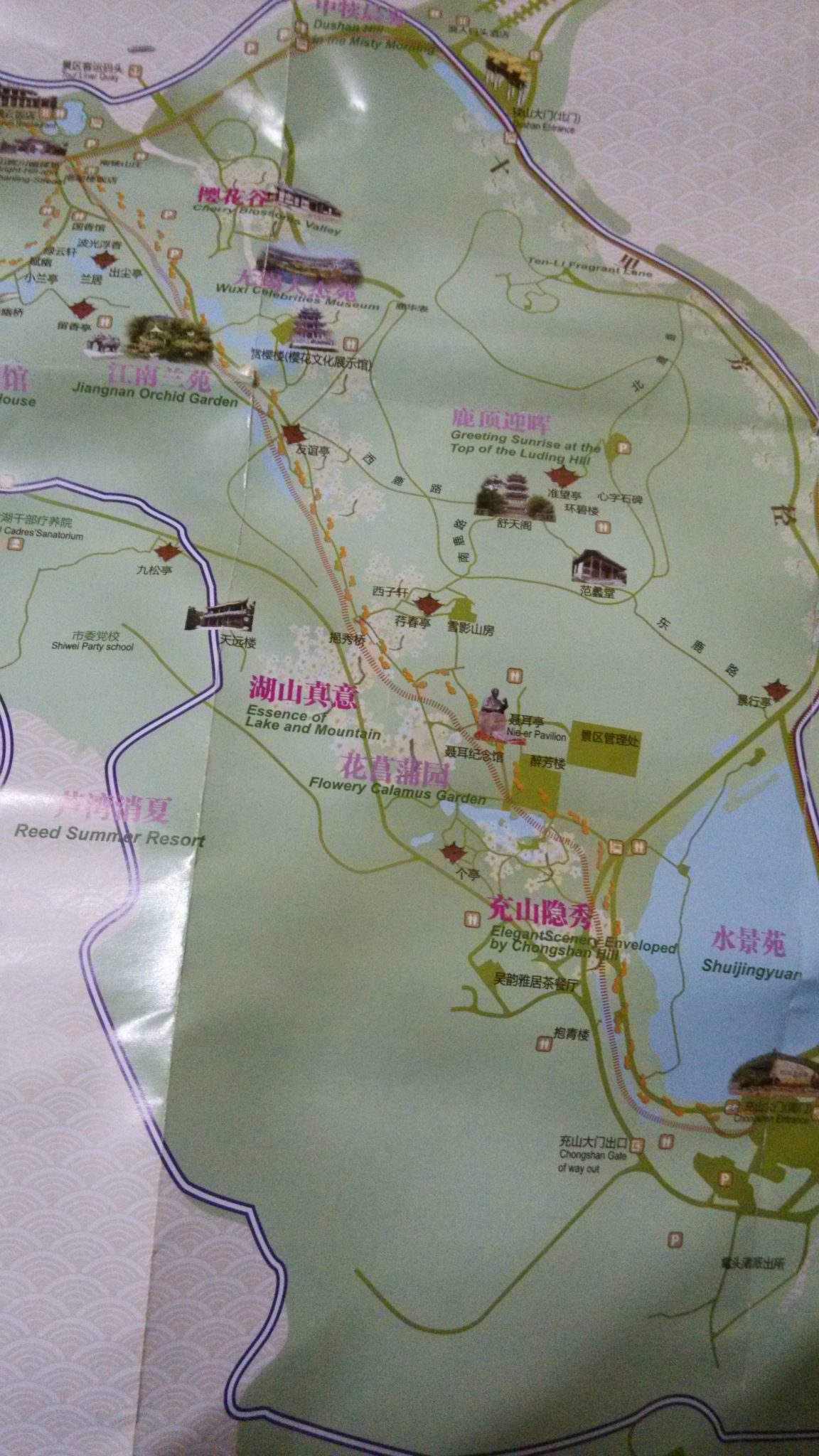 回复游记:绝对有用的无锡鼋头渚赏樱花攻略