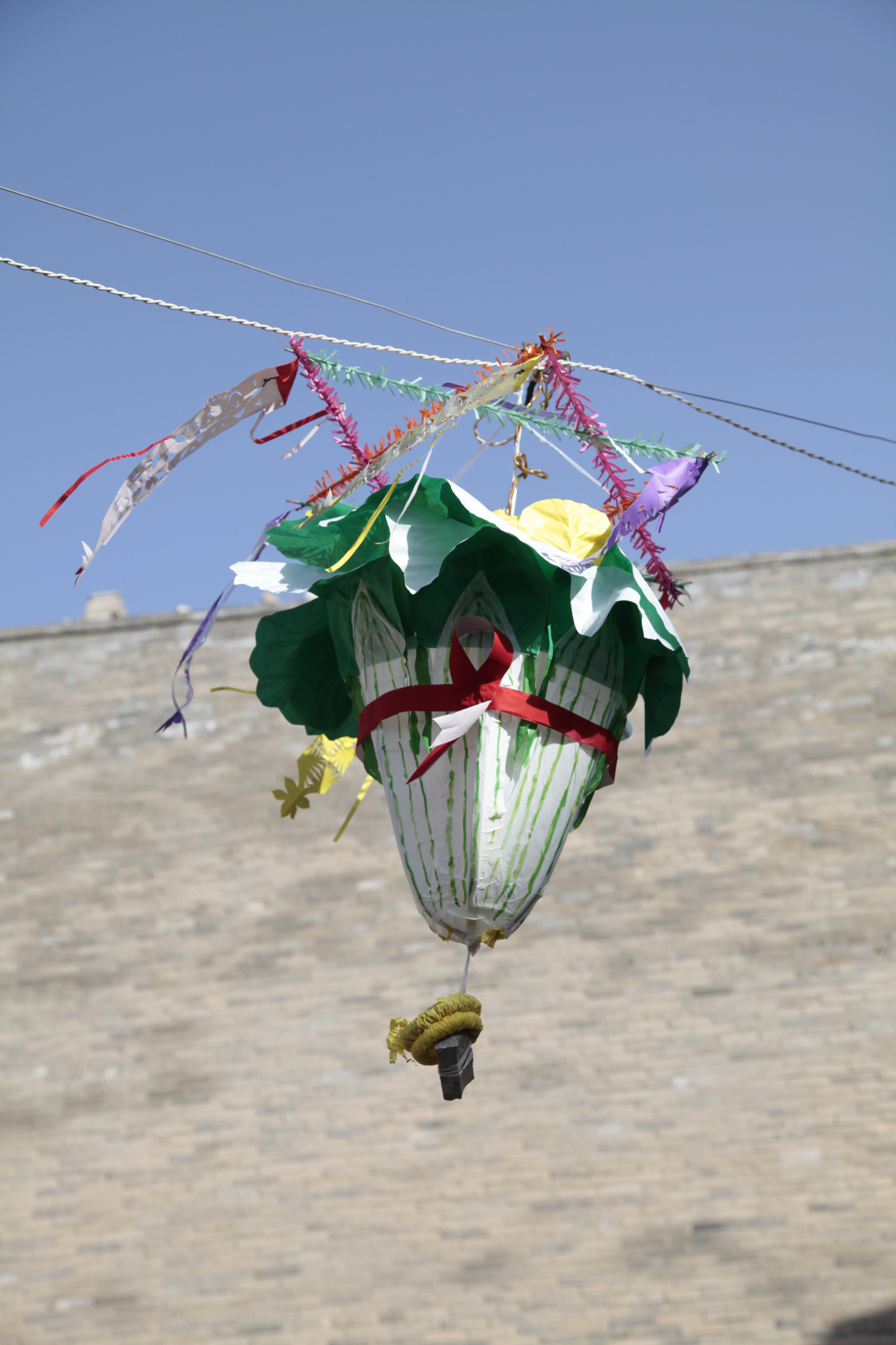 这边头顶儿上各种奇形怪状的灯笼,形如老玉米,白菜的到处都是.