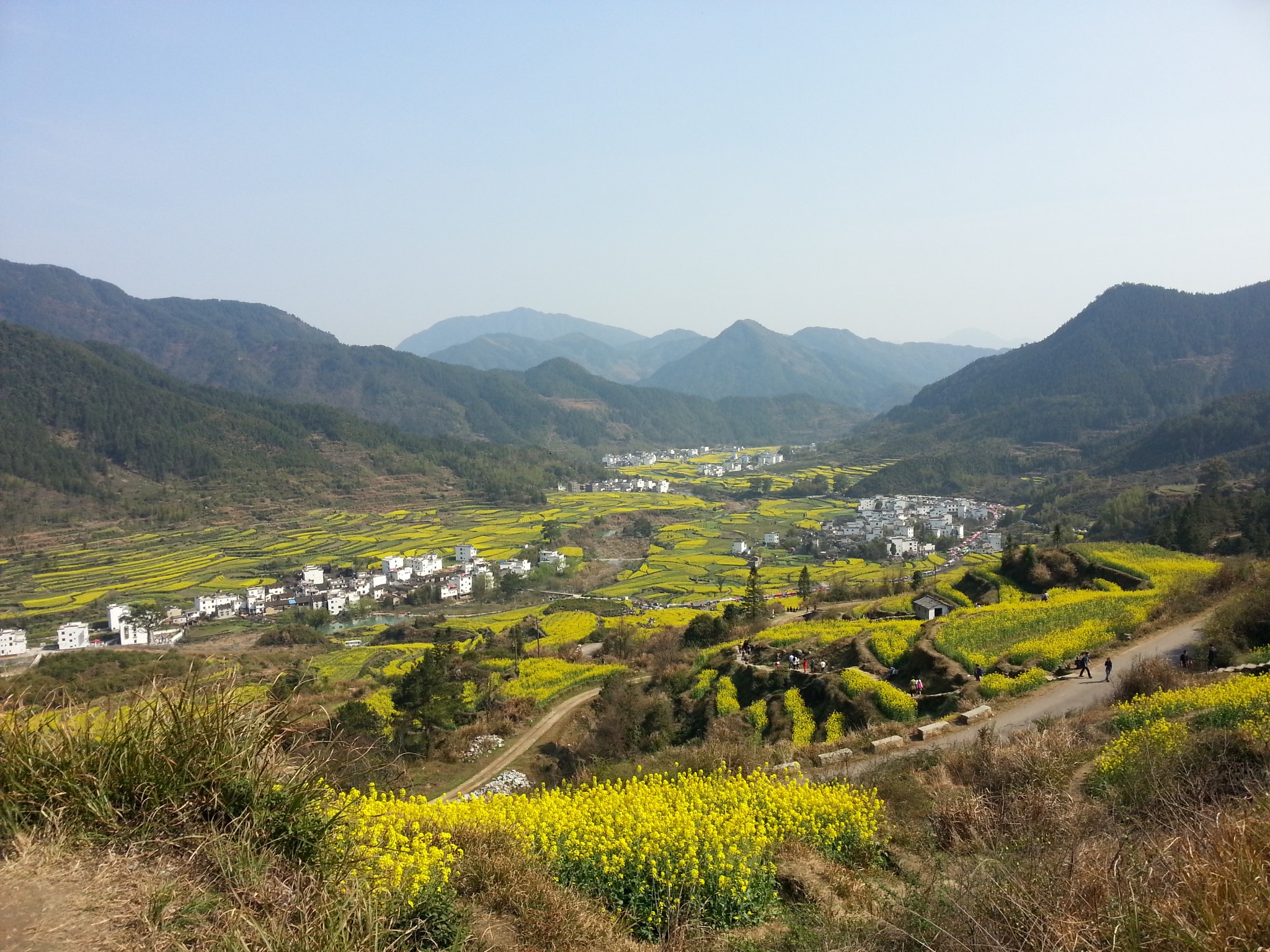 馨香园到金山镇搭岭村怎么走_东平湖金山坝怎么走