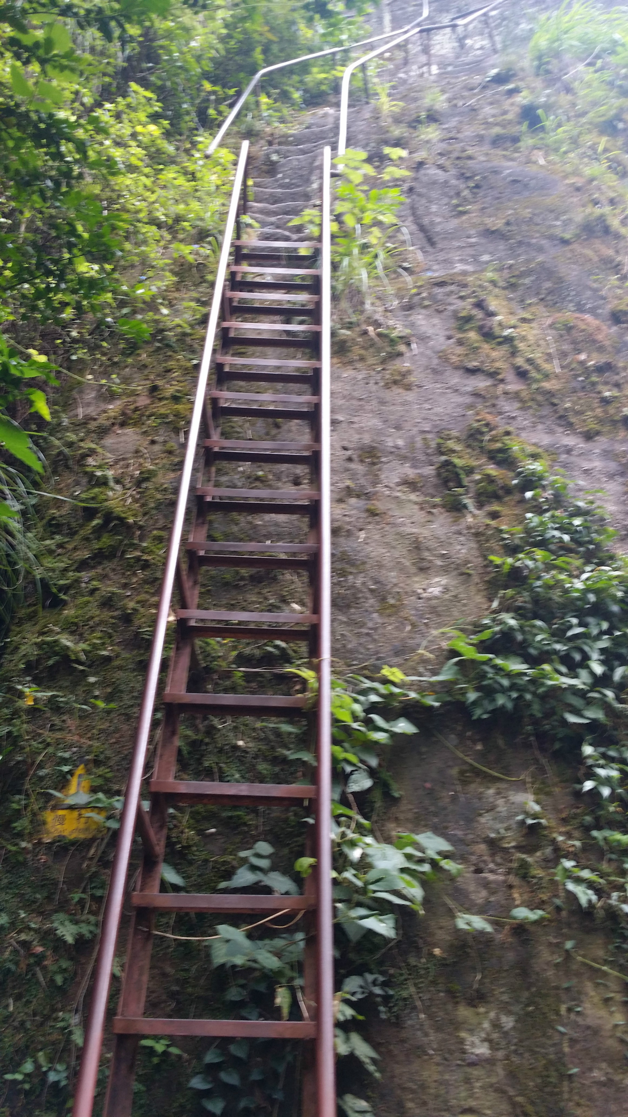 茶洞人口_茶洞镇褚村最近图片(2)