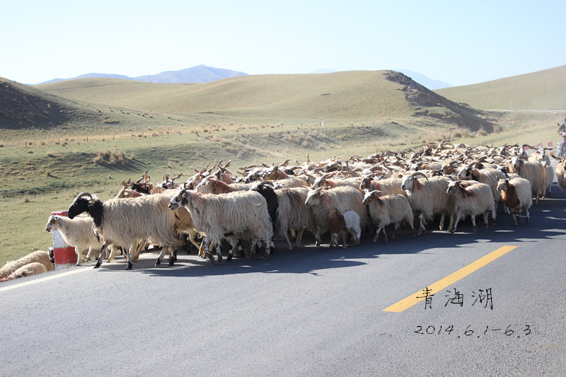 鞍山人口音土_鞍山师范学院(3)