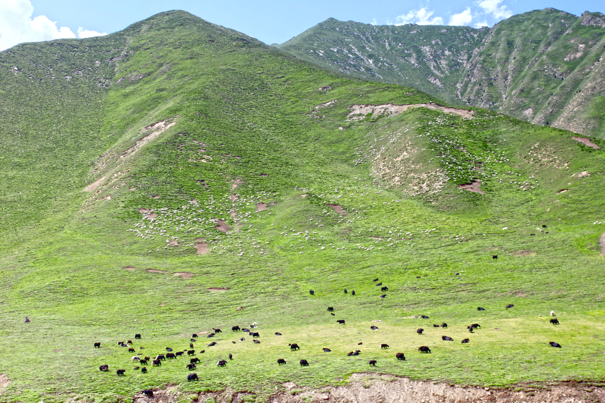 QiLian Zhuoer Mountain