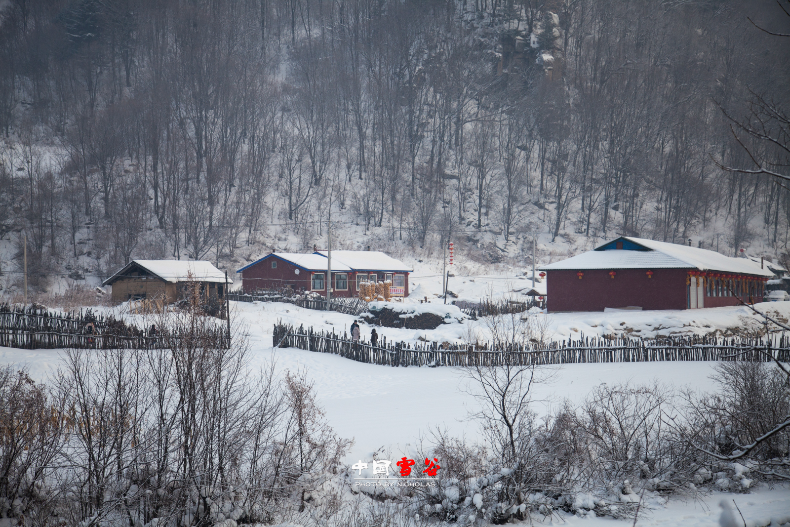 雪鄉自助遊攻略