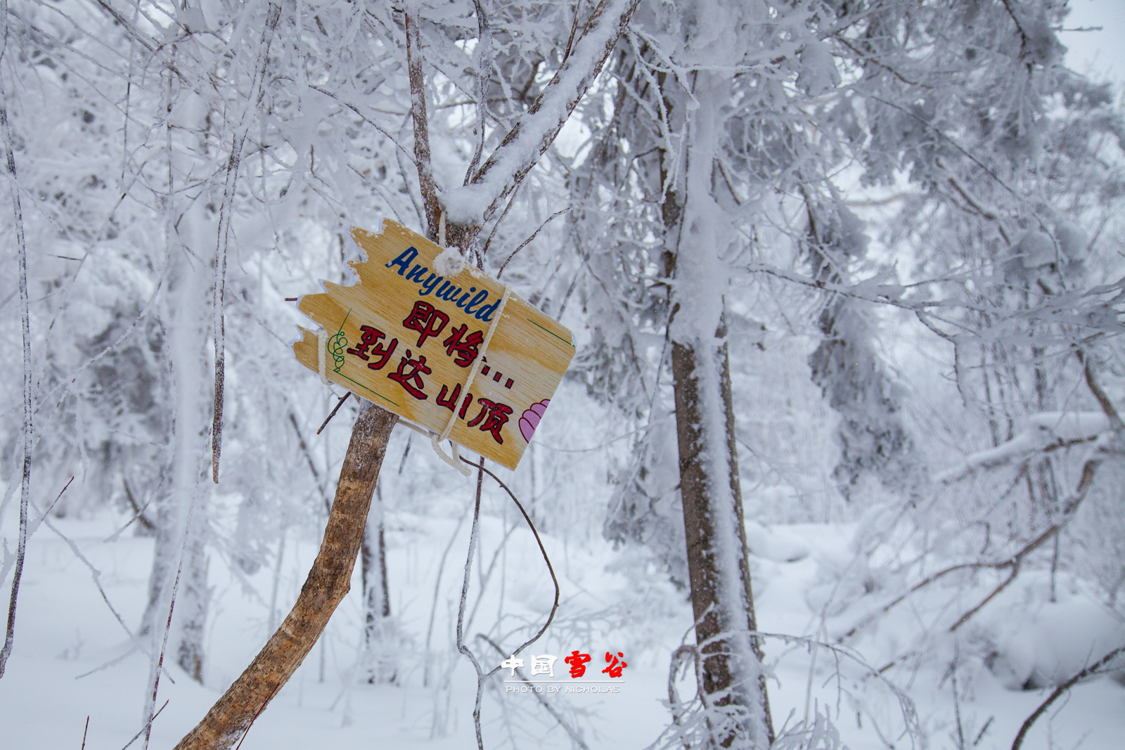 雪鄉自助遊攻略