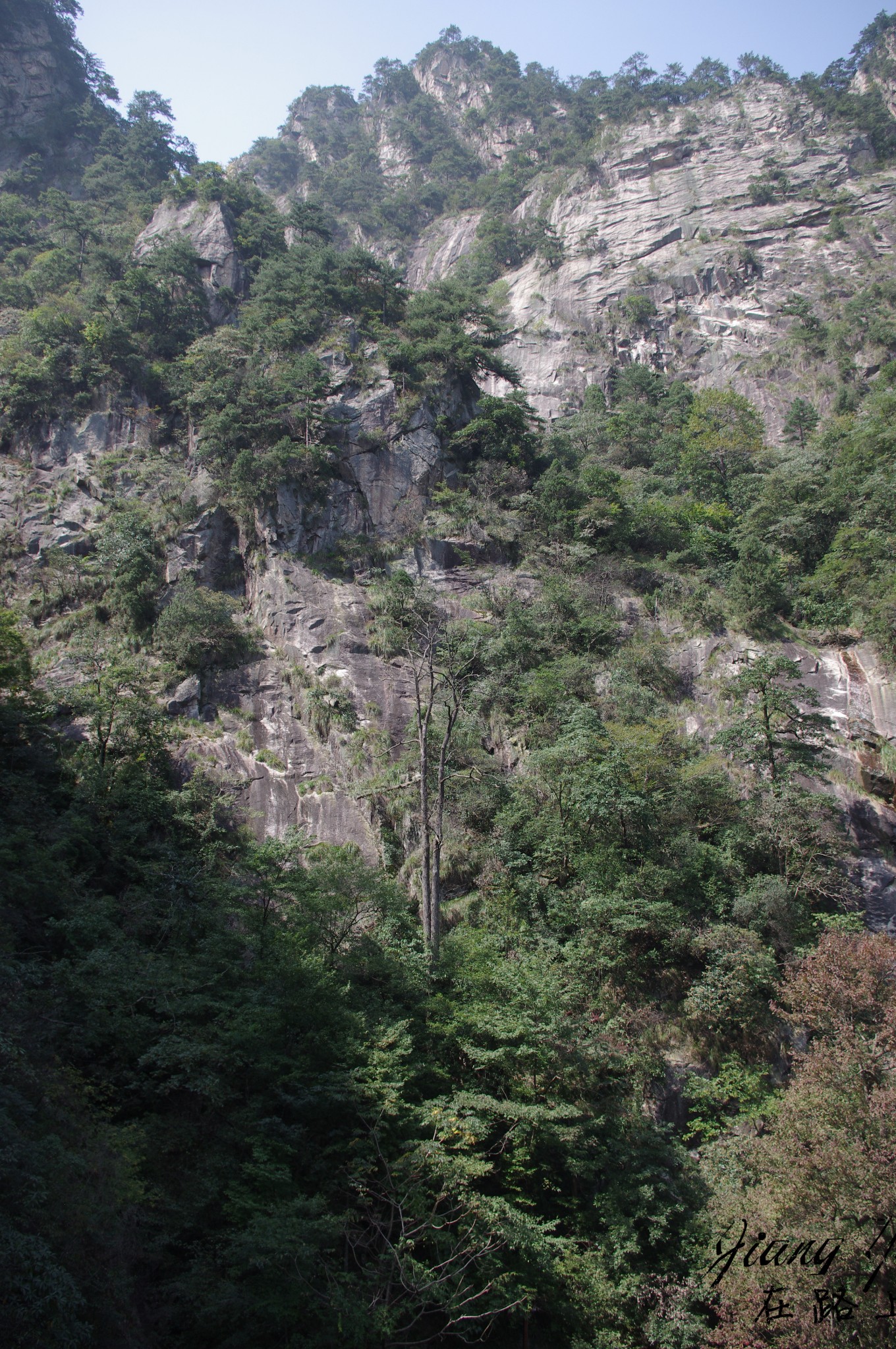 wKgB6lQ8172ACsOxABHK_CDsoys96.jpeg?imageView2%2F2%2Fw%2F680%2Fq%2F90