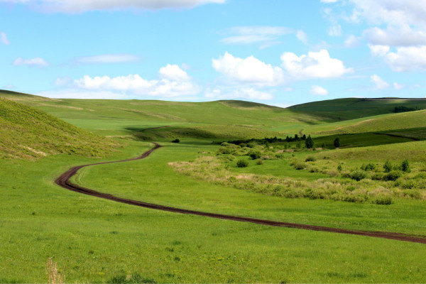 wKgB6lUG8wyAFTSJAAFCys0hUUk37.jpeg?imageView2%2F2%2Fw%2F600%2Fq%2F90