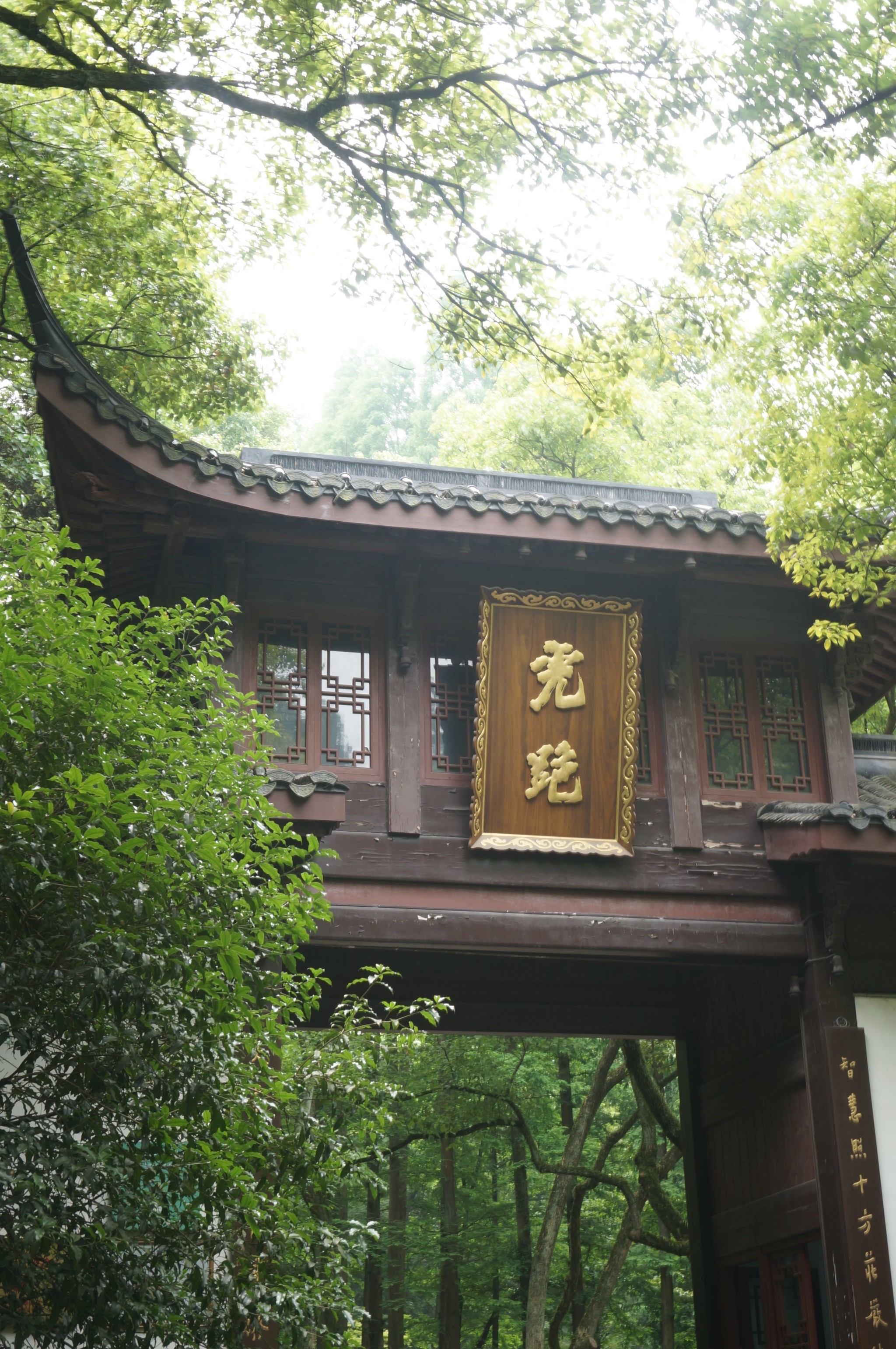 原始图片  虎跑公园就在动物园边   本想喝一点泉水,没想到