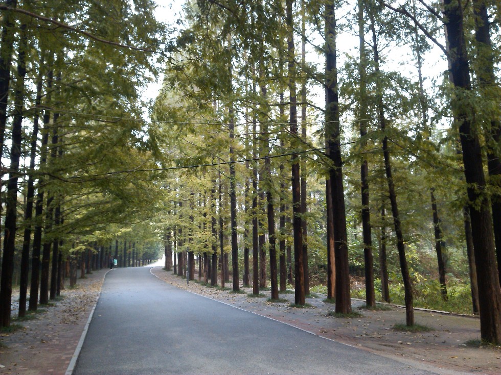 铜山湖森林公园