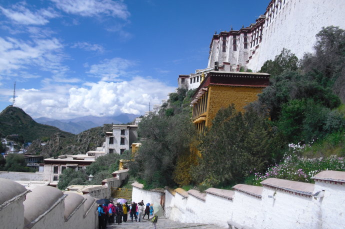 wKgB6lQviVeAehcVAAITNWXpOEM20.jpeg?imageView2%2F2%2Fw%2F600%2Fh%2F600%2Fq%2F90