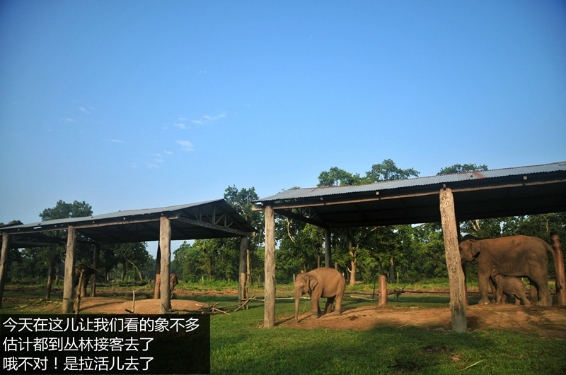 尼泊爾自助遊攻略