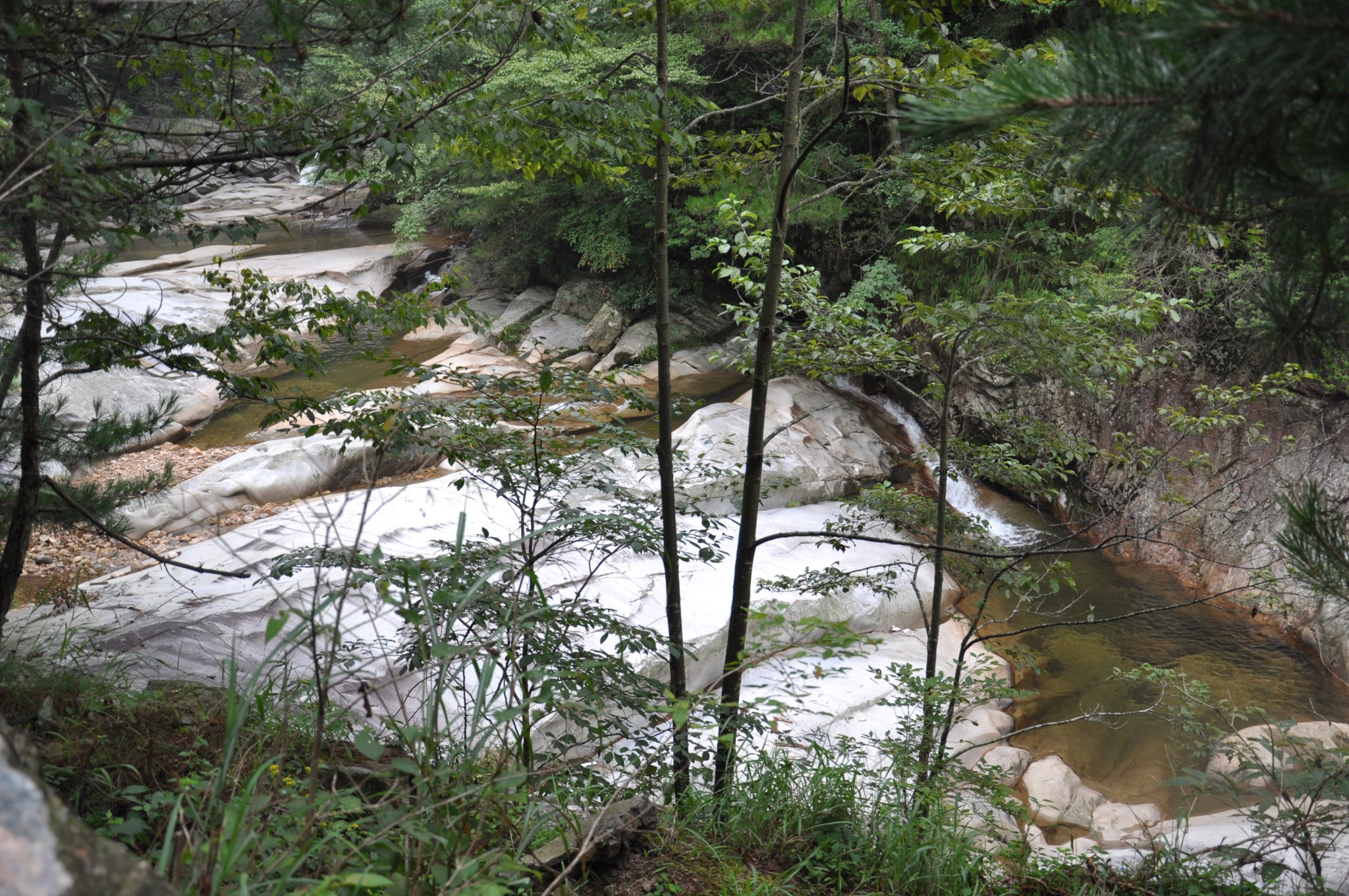 岳西县有多少人口_岳西下周又要下雪 30年前老家是这样过冬的(3)