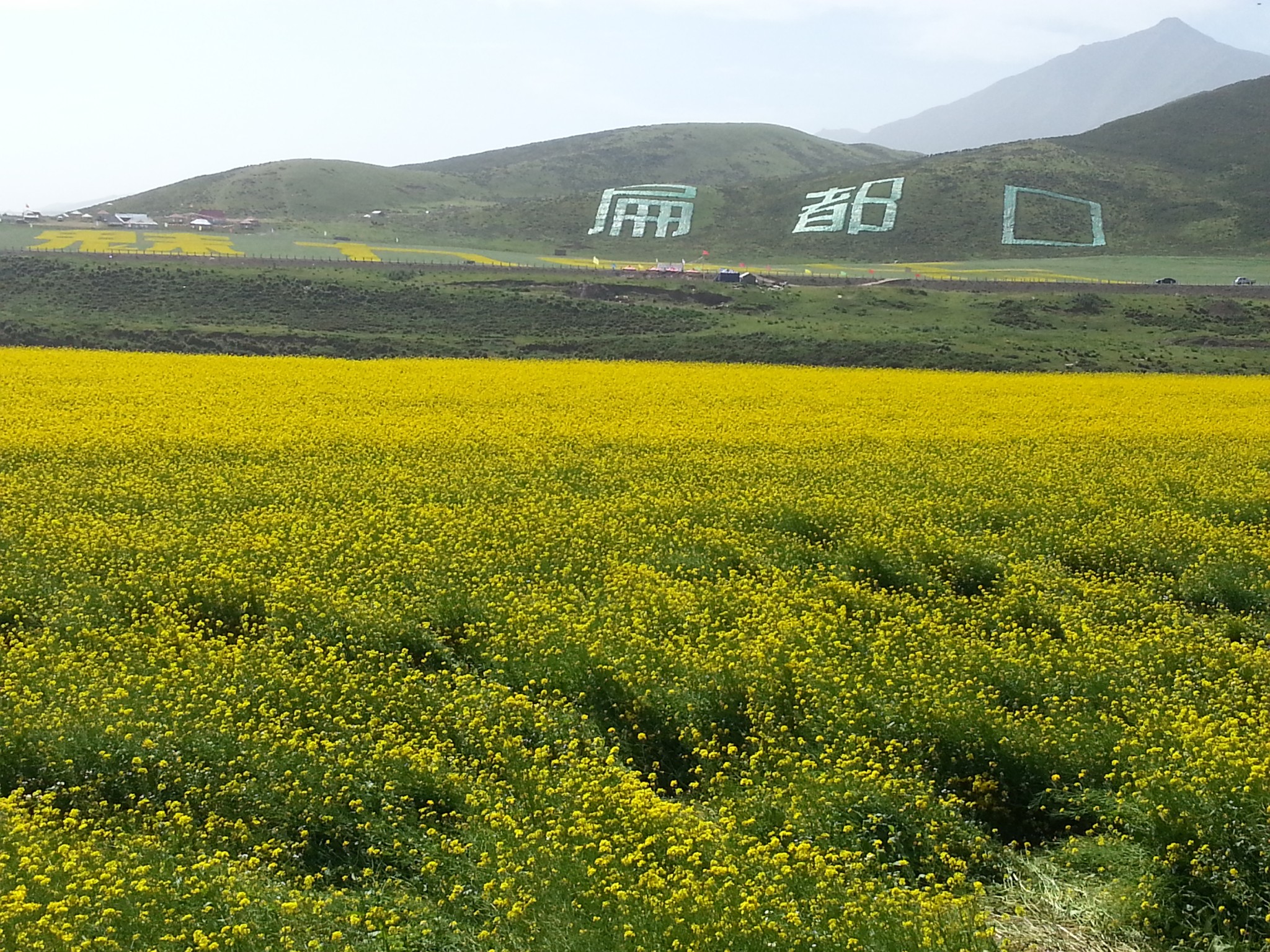 寧夏自助遊攻略